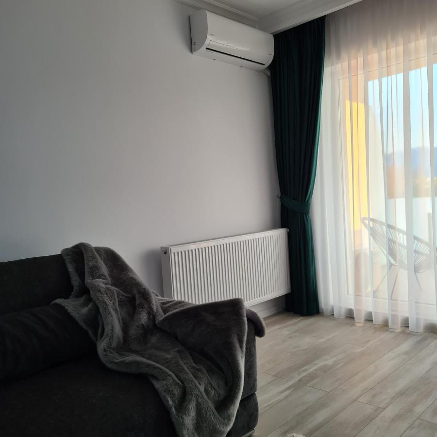 Panoramic Apartment Brassó Kültér fotó